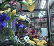 Оборудование для цветочного магазина